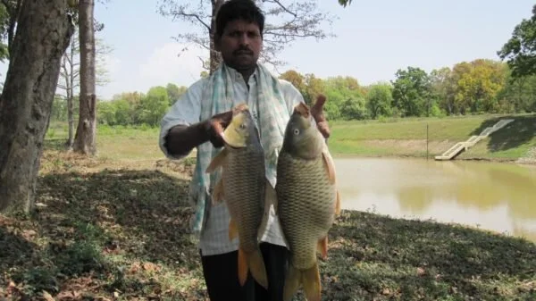 सहकारी व्यापार मेले में ICAR–IISWC द्वारा नवाचारी मत्स्य प्रौद्योगिकियों का हुआ प्रदर्शन, उन्नत तकनीकों से पर्वतीय परिस्थितियों में 100 वर्ग मीटर से 45–50 किलोग्राम मछली उत्पादन हुआ संभव