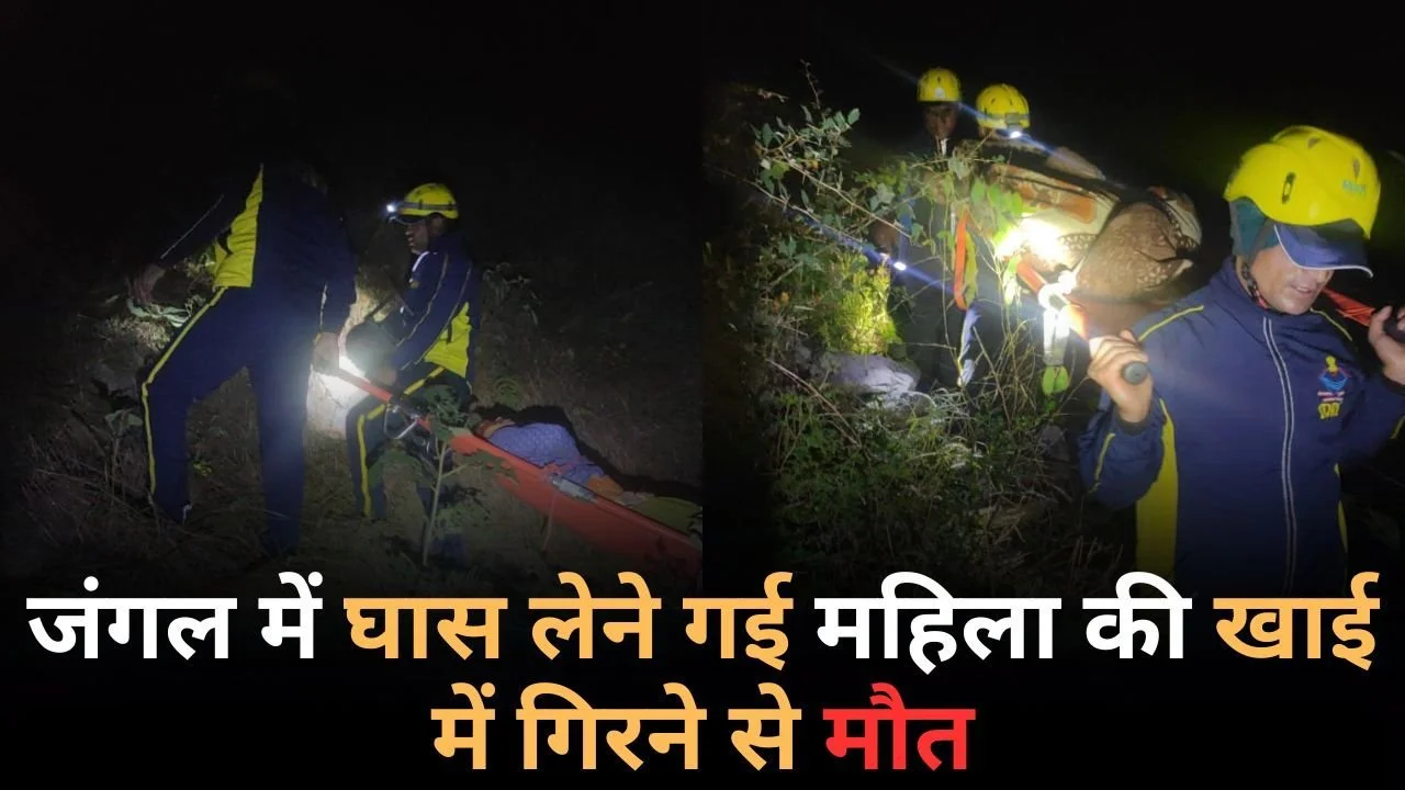 जंगल में घास लेने गई महिला की खाई में गिरने से मौत