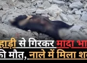 पहाड़ी से गिरने से मादा भालू की मौत, नाले में मिला शव