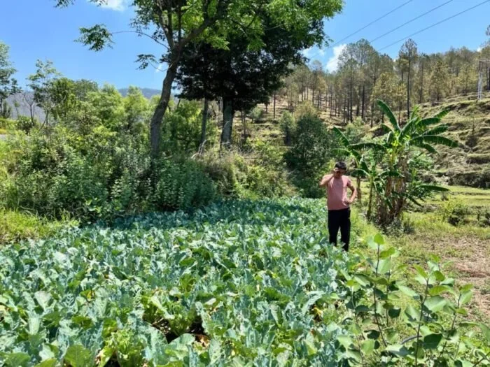 पहाड़ में समृद्धि की नई इबारत : आधुनिक खेती से स्वरोजगार और आत्मनिर्भरता की मिसाल बने पौड़ी के नरेश भट्ट
